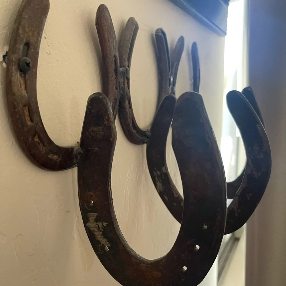Rustic Horseshoe Wall Hook